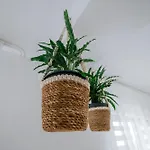 House Ferienhaus *