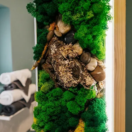 Case de vacanță House Năvodari