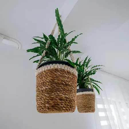 House Case de vacanță *