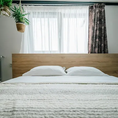 Case de vacanță House Năvodari