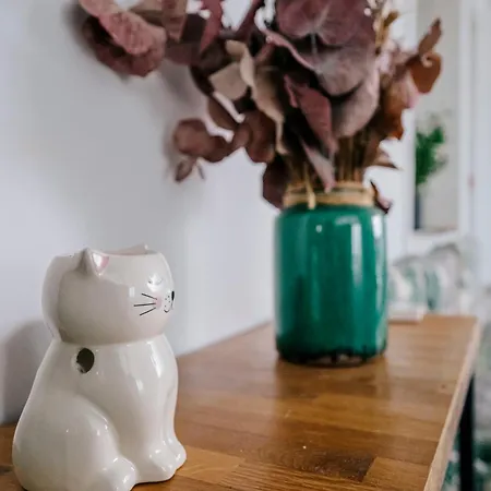 Case de vacanță House