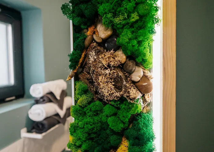 Dom wakacyjny House Năvodari