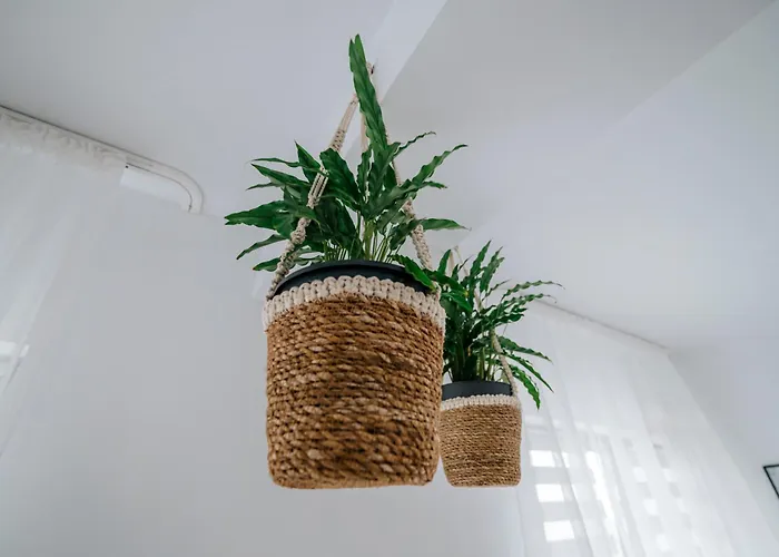 House Dom wakacyjny *