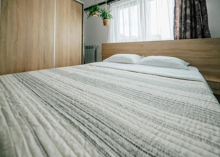 Dom wakacyjny House Năvodari